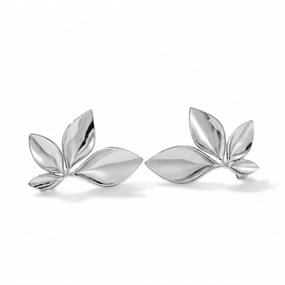 Lierre Silver Leaf Climber Earrings
